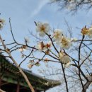 맥스영수전문학원 이미지