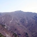 사자봉민박 이미지