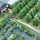 병성농장 이미지