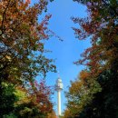 (주)에코셀 | 251103-9 일기 / 너공 / 창녕 산토끼노래동산🐰🐇 눈썰매 최고 / 창녕 안리마을 먹거리 / 창녕 가볼만한곳