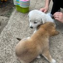성산농수산