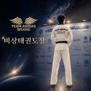 비상태권도입시센터 | 동백 청덕동 중학생 태권도학원, 비상태권도장 용인청덕관