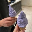 폴 바셋 강남역 삼성화재점 | 폴바셋 라벤더 아이스크림! 연장 판매 매장 찾아서 강남역 삼성화재점 다녀온 후기