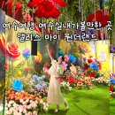 거울미로/노래하는벤 | 여수 여행 앨리스 마이 원더랜드 전시회 여수실내가볼만한곳