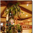 시멘스 클럽 이미지