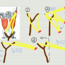 초보의 논술?_늘리고, 늘리고, 늘리고_골프스윙 파워의 이해 이미지