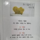제주동부치매안심센터 이미지