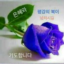 행운 이미지