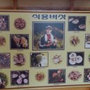 산너머 토시골 이미지