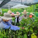 로얄튼너싱홈 이미지