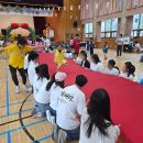 광남초등학교 병설유치원 이미지