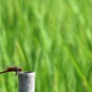 함줄공원 이미지