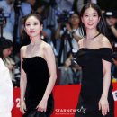 BIFF 스타뉴스