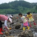 학림섬정보화마을 이미지