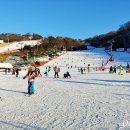 웰리힐리 스키장 이미지