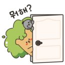 수안에스테틱