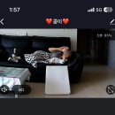26년 5월 일상
