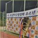조아에프씨