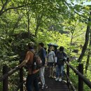 유유자적 이미지