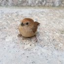 호반숲속작은도서관 이미지