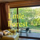 대흘샬레 이미지