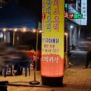 샤샤살롱 이미지