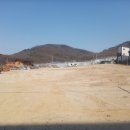 영제청과