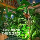 식물정 - 성남시 분당구 운중로 123 | 도심 속에서 식물로 힐링 할 수 있는 동대문역 근처 대형 식물 카페 정그리다 솔직후기