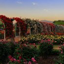 곡성-206 이미지