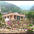 전원향기 이미지