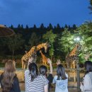 에버랜드 이미지