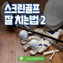 더탑 스크린 골프존 이미지