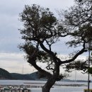 화태초여동분교장 | 횡간도(여수)