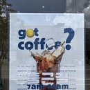 코피발리 이미지