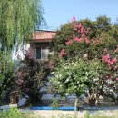 내동마을 입구 이미지