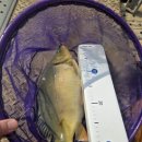 수암낚시터 이미지