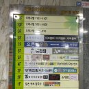 비비아나왁싱