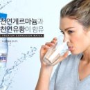 앨리스인크루즈