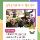양재 플라워 페스타 꽃청춘 서포터즈 청계천 팝업 후기