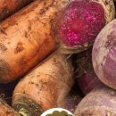 영순농장 이미지