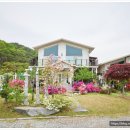 담양버치 이미지