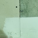 곰 | 강동 도배 업체 곰이반장 내돈내산후기