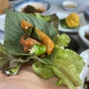 해변짚불곰장어 이미지