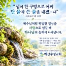 [오늘의묵상칼럼] 2026.9.11(금) 오늘의 말씀카드, 365묵상글, 예산수정교회 이미지