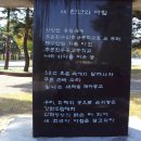 천년의아침 이미지