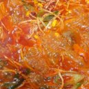 낙원볼태기 이미지