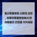 엉클장동물병원 이미지
