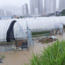 광남축산 이미지