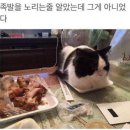 엔터PC방 이미지