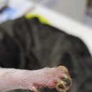 이앤박동물병원 이미지